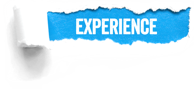 Experience